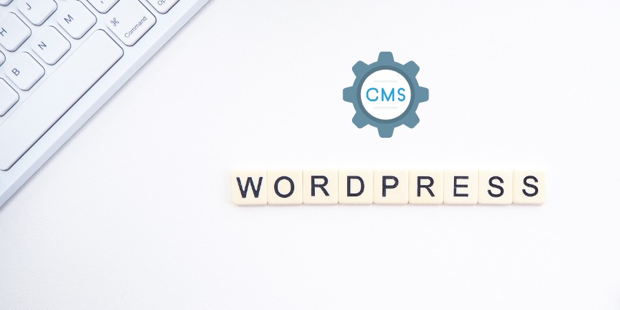 WordPress Skills