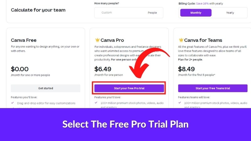 Select The Free Pro Trial Plan