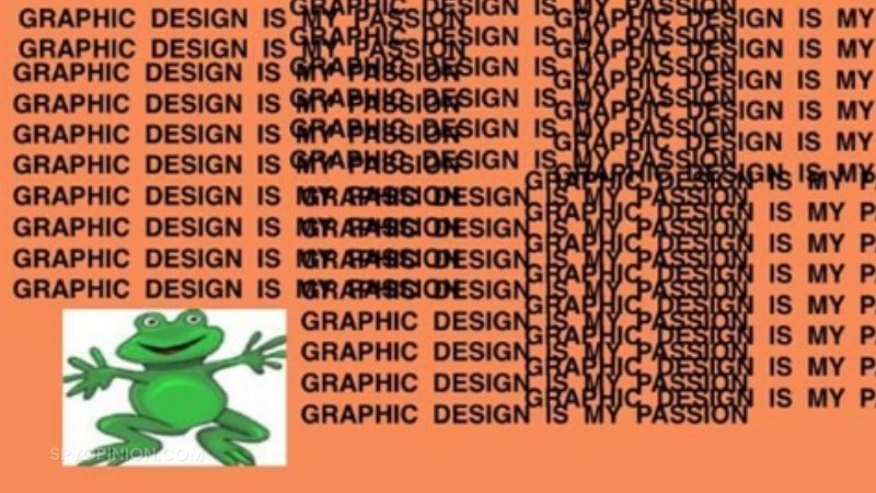 Graphic Design Is My Passion Meme Frog Returns